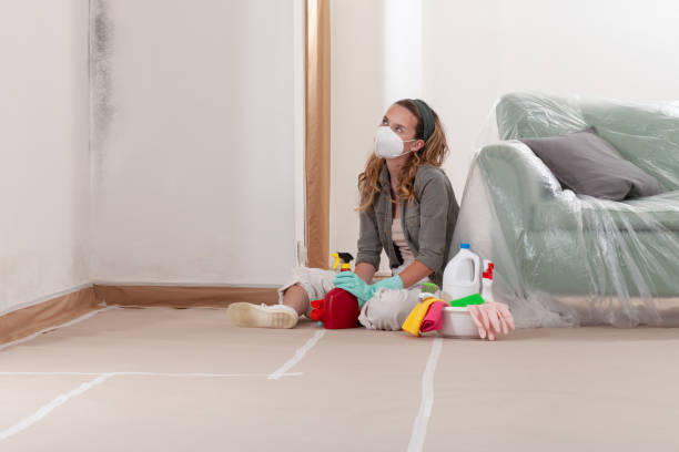 Reliable Attic Mold Removal contractor in Paris, IL by WQB Mold Removal